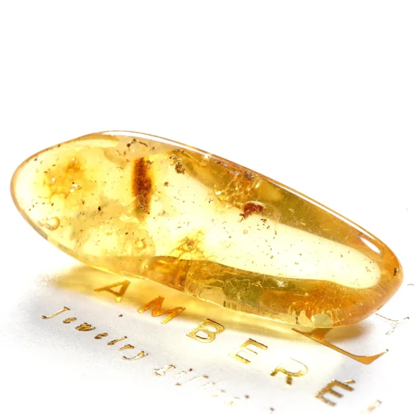 Natūralaus Baltijos gintaras su vabalu