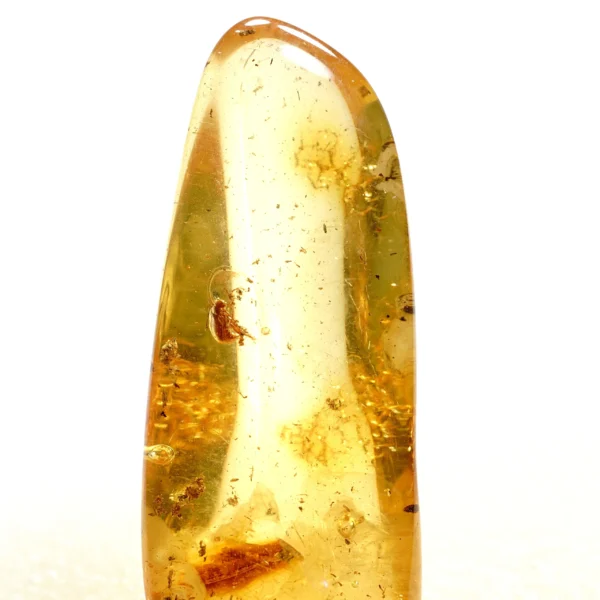 Natūralaus Baltijos gintaras su vabalu