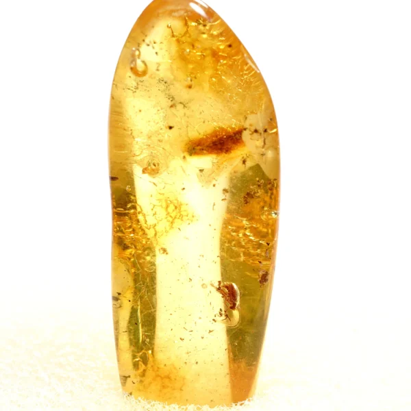 Alternative view of Inkliuzas "Užrakintas laike" -163-