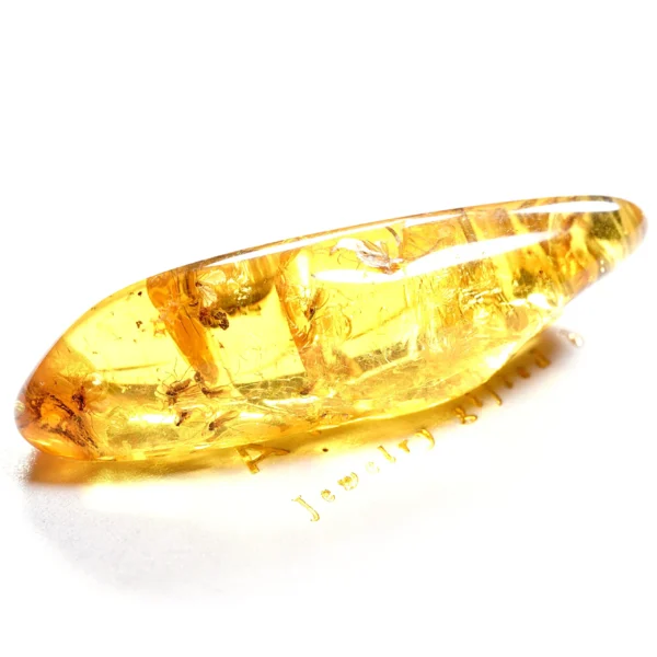 Natūralaus Baltijos gintaras su uodais