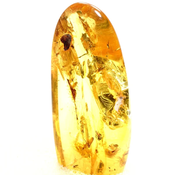 Natūralaus Baltijos gintaras su uodais