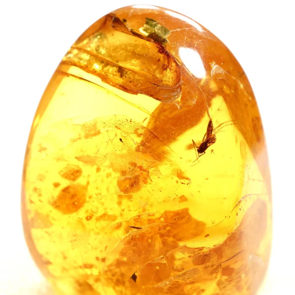 Alternative view of Inkliuzas "Užrakintas laike" -166-