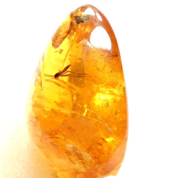 Natūralaus Baltijos gintaras su uodu