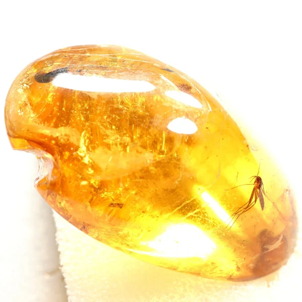 Natūralaus Baltijos gintaras su uodu