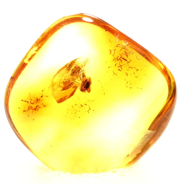 Alternative view of Inkliuzas "Užrakintas laike" -167-