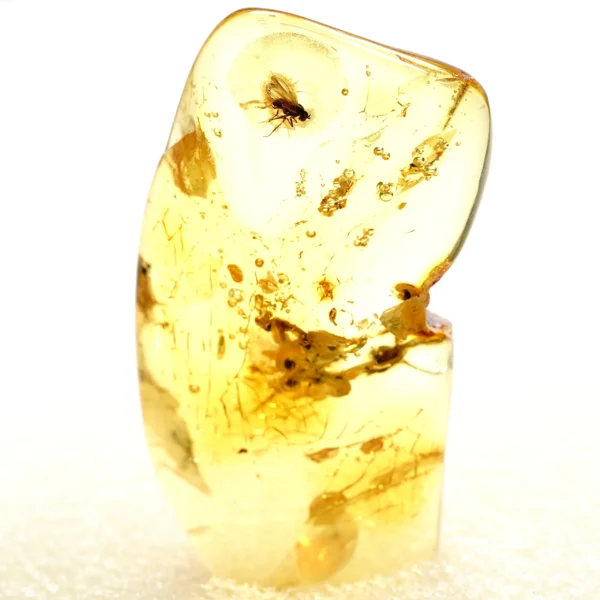 Alternative view of Inkliuzas "Užrakintas laike" -181-