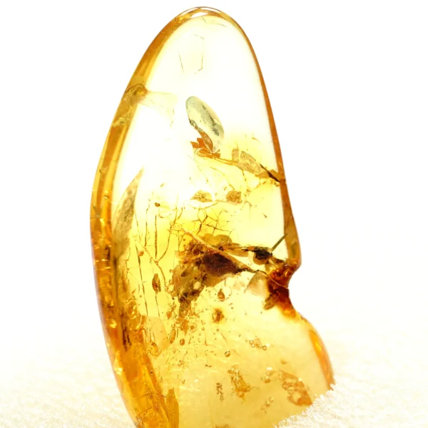 Natūralaus Baltijos gintaras su muse
