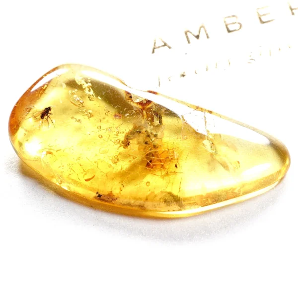 Natūralaus Baltijos gintaras su muse