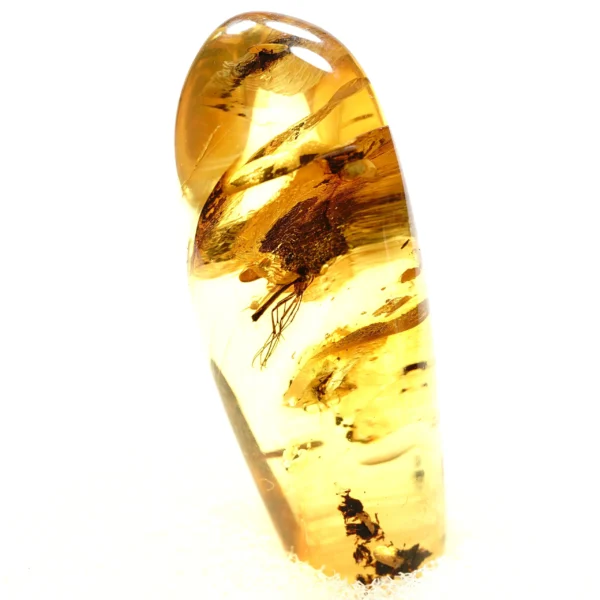 Natūralaus Baltijos gintaras su uodu