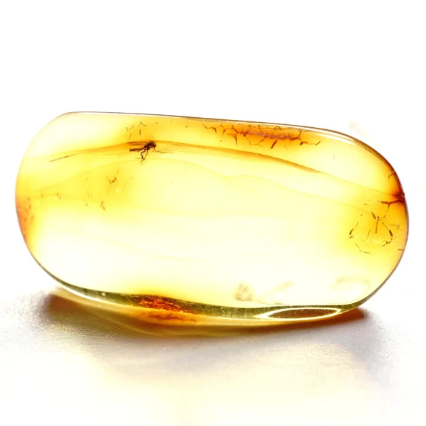 Natūralaus Baltijos gintaras su vabzdžiu