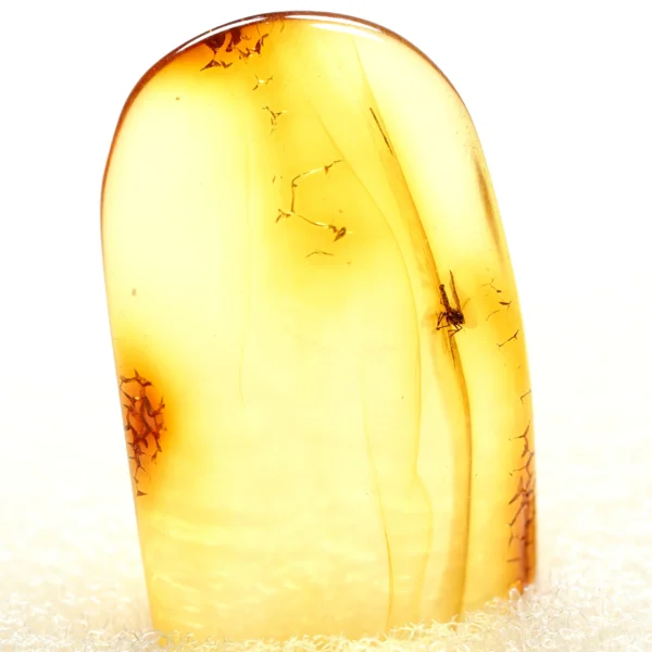 Alternative view of Inkliuzas "Užrakintas laike" -182-