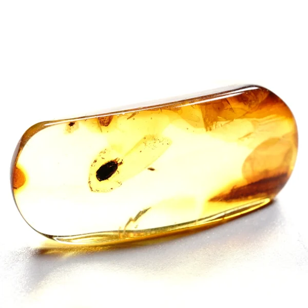 Natūralaus Baltijos gintaras su vabalu