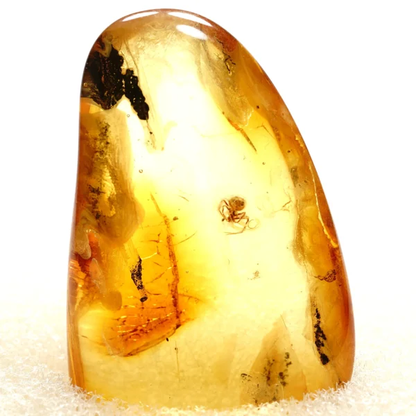 Natūralaus Baltijos gintaras su voru