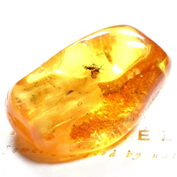 Natūralaus Baltijos gintaras su skraidančia skruzdėle