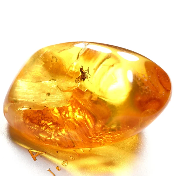 Alternative view of Inkliuzas "Užrakintas laike" -173-