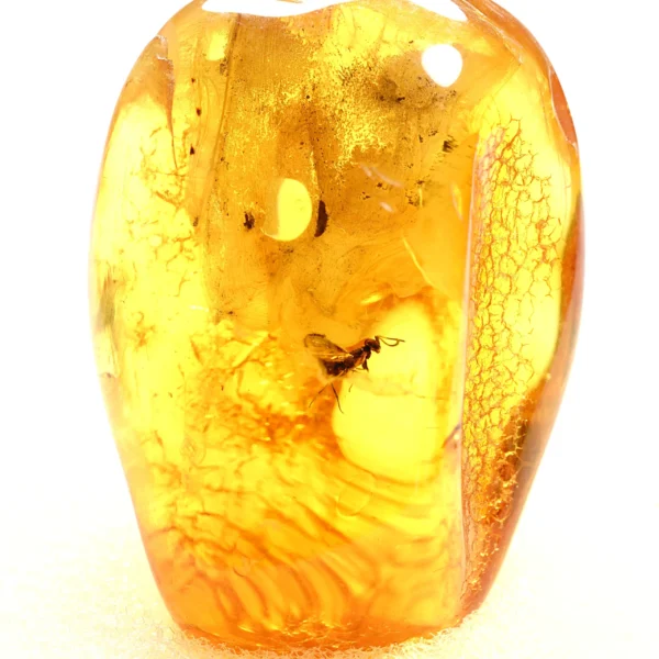 Natūralaus Baltijos gintaras su skraidančia skruzdėle