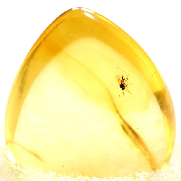 Alternative view of Inkliuzas "Užrakintas laike" -184-