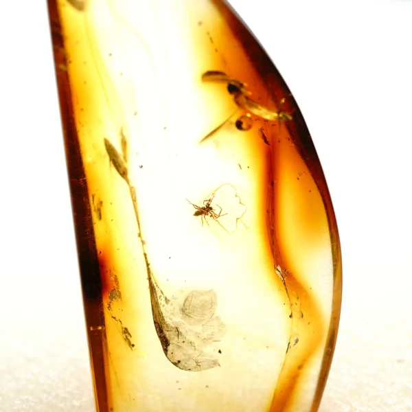 Alternative view of Inkliuzas "Užrakintas laike" -175-