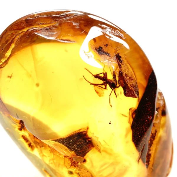 Alternative view of Inkliuzas "Užrakintas laike" -185-