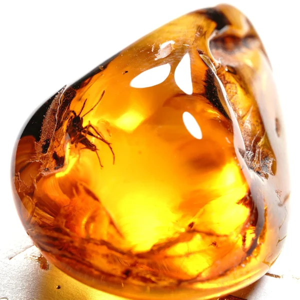 Natūralaus Baltijos gintaras su vabzdžiu