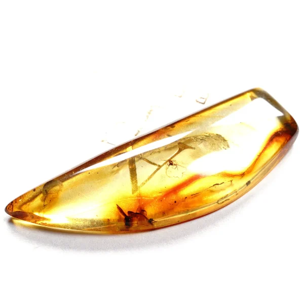 Natūralaus Baltijos gintaras su voru