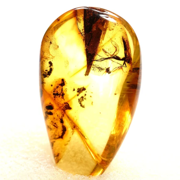 Natūralaus Baltijos gintaras su lapu