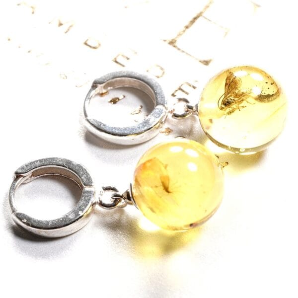 Auskarai Su Inkliuzu