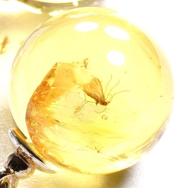 Natūralaus Baltijos gintaro auskarai su inkliuzu