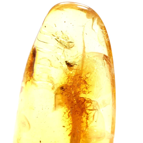 Alternative view of Inkliuzas "Užrakintas laike" -187-