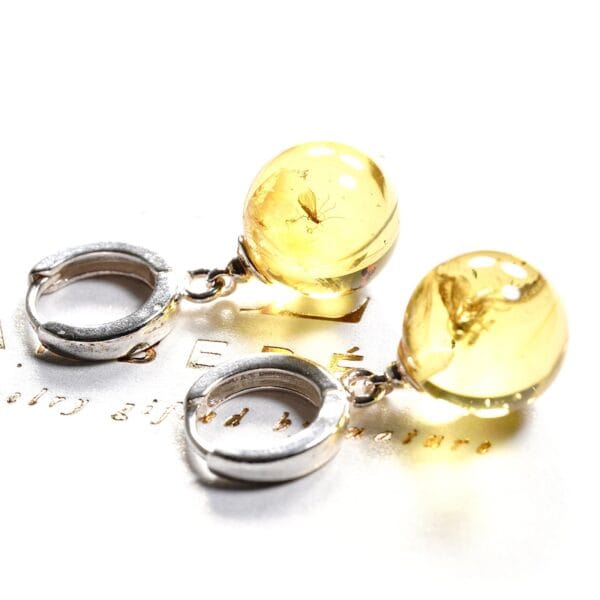 Natūralaus Baltijos gintaro auskarai su inkliuzu