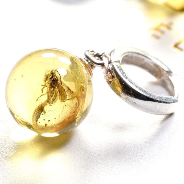 Natūralaus Baltijos gintaro auskarai su inkliuzu