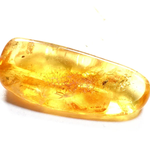 Natūralaus Baltijos gintaras su uodu