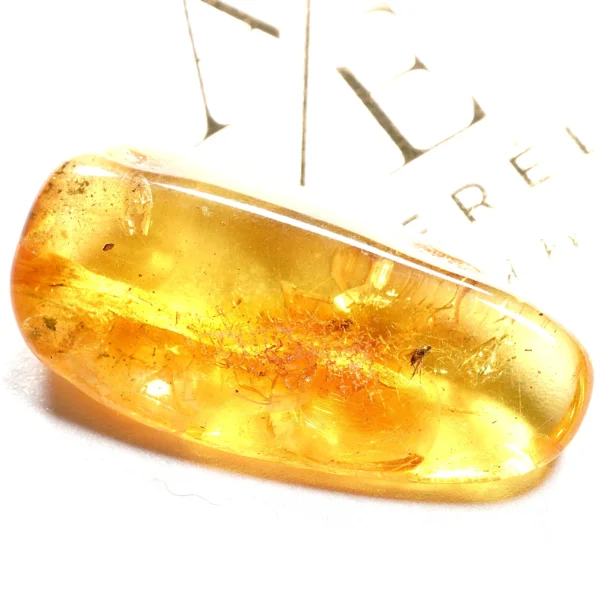 Natūralaus Baltijos gintaras su uodu