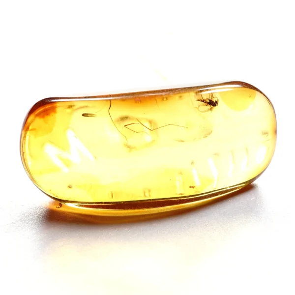 Natūralaus Baltijos gintaras su dviem uodais