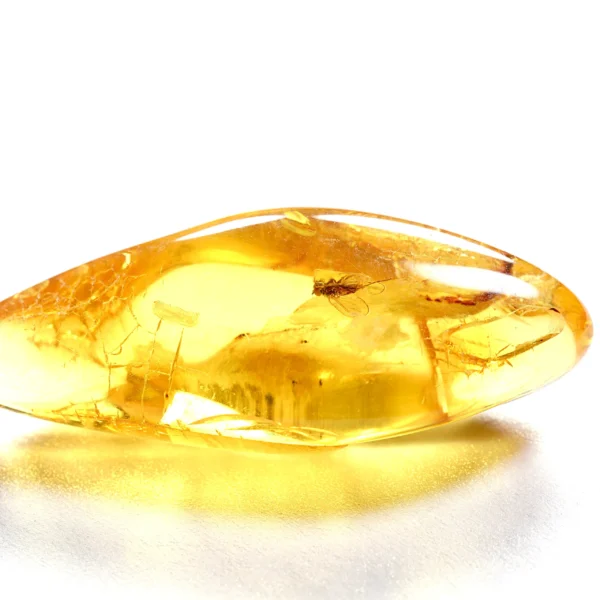 Natūralaus Baltijos gintaras su muse