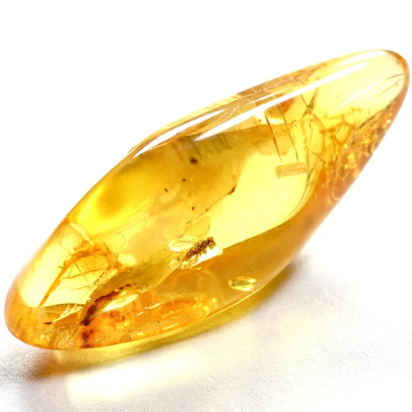Natūralaus Baltijos gintaras su muse