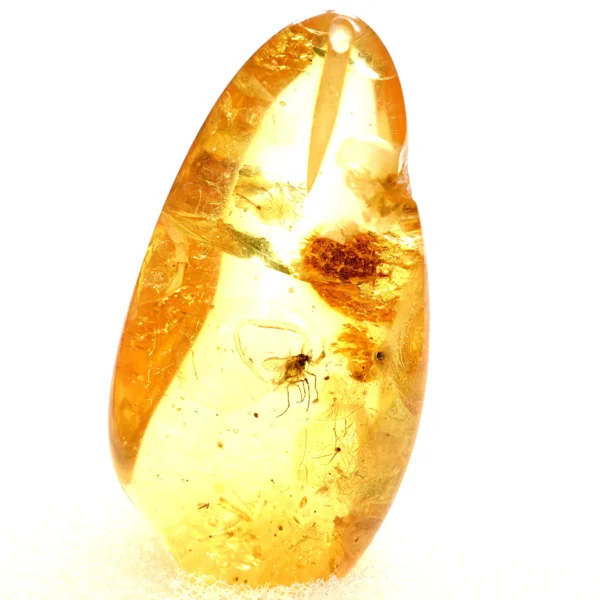 Natūralaus Baltijos gintaras su uodu