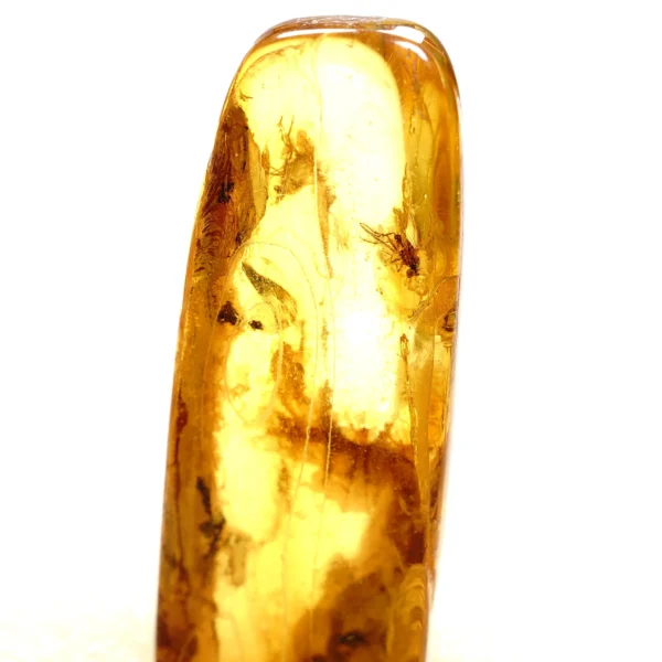 Natūralaus Baltijos gintaras su uodu