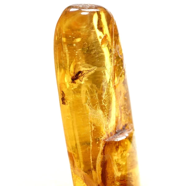 Alternative view of Inkliuzas "Užrakintas laike" -192-