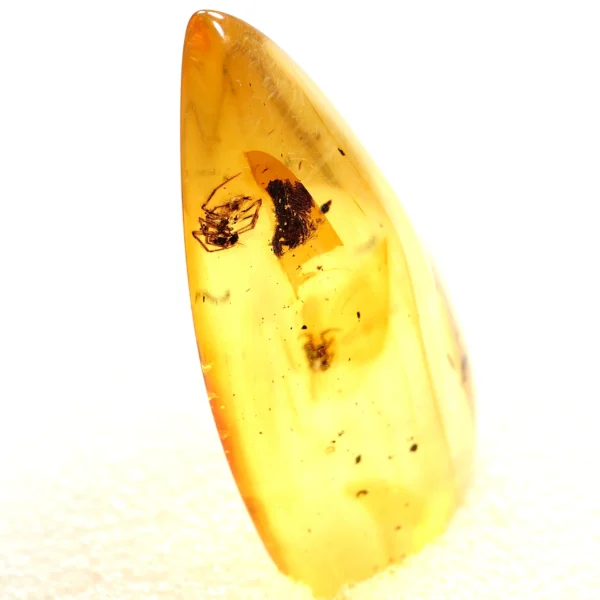 Alternative view of Inkliuzas "Užrakintas laike" -193-