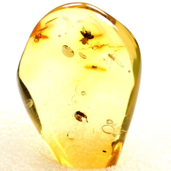 Alternative view of Inkliuzas "Užrakintas laike" -194-