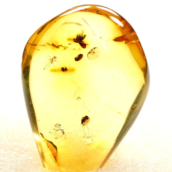 Natūralaus Baltijos gintaras su vabzdžiais