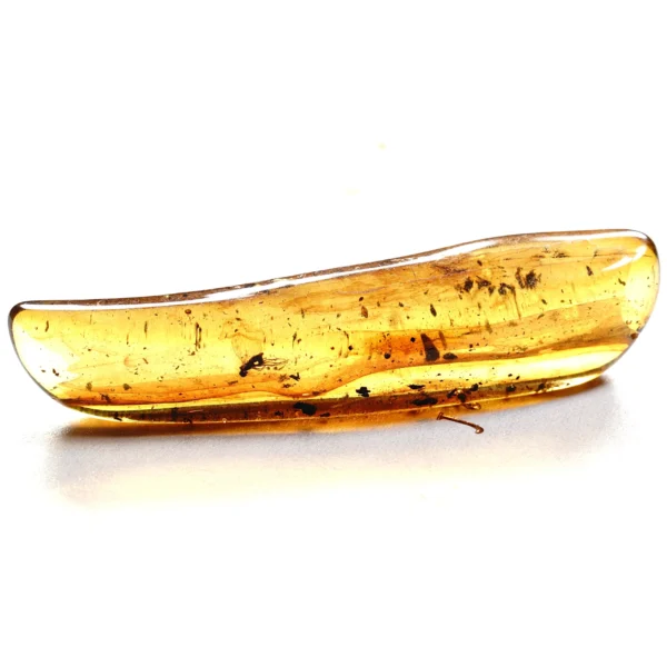 Natūralaus Baltijos gintaras su uodu