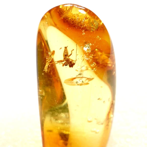 Natūralaus Baltijos gintaras su cikada