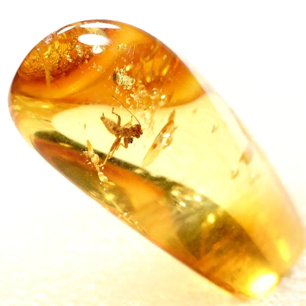 Alternative view of Inkliuzas "Užrakintas laike" -196-