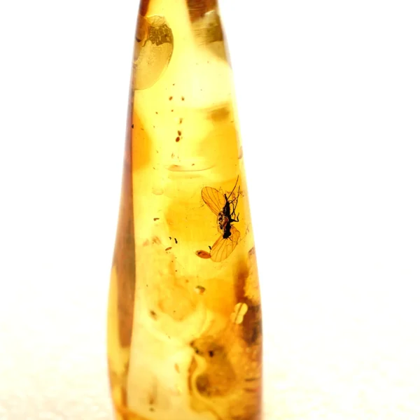 Alternative view of Inkliuzas "Užrakintas laike" -197-