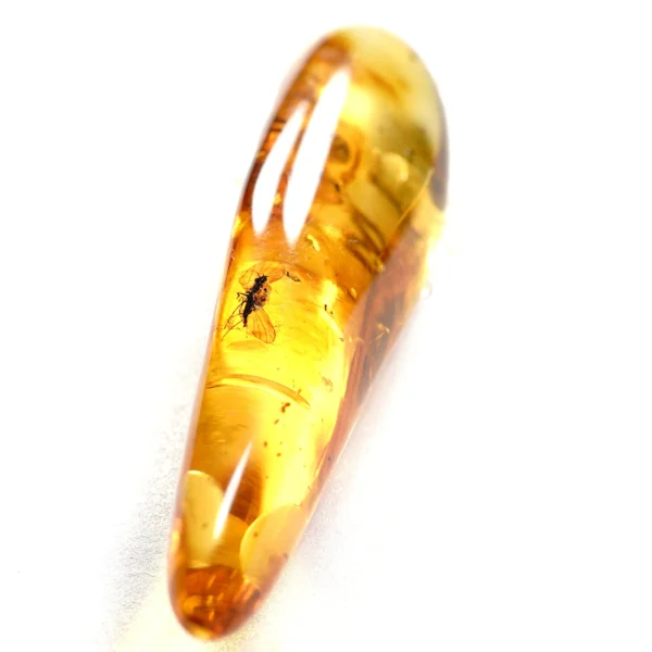 Natūralaus Baltijos gintaras su muse