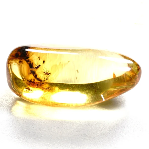 Alternative view of Inkliuzas "Užrakintas laike" -198-