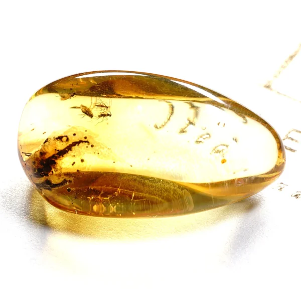 Natūralaus Baltijos gintaras su uodais