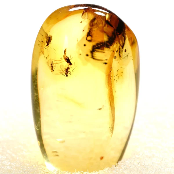 Natūralaus Baltijos gintaras su uodais